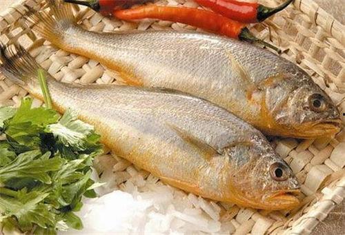 小黄鱼爆料新闻报道视频,揭秘新闻报道背后的真相