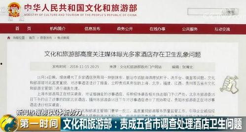 爆料奇特视频大全播放网站,揭秘网络奇观，畅游视觉盛宴  第1张